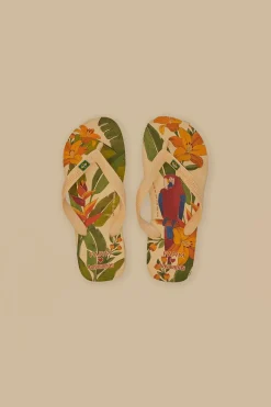 FARM Rio Farm Ararinhas Havaianas Sandals Online