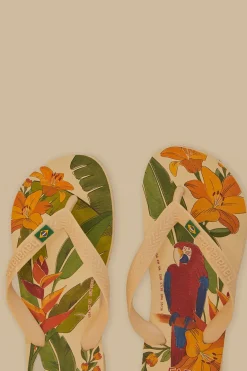 FARM Rio Farm Ararinhas Havaianas Sandals Online