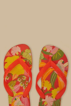 FARM Rio Farm Neon Flor Havaianas Sandals Hot