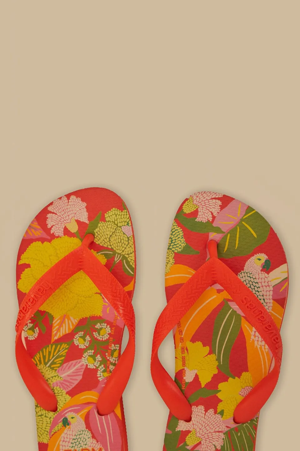 FARM Rio Farm Neon Flor Havaianas Sandals Hot