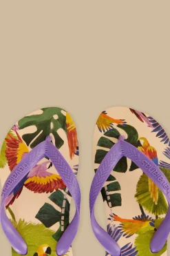 FARM Rio Farm Passaros Pintados Havaianas Sandals New